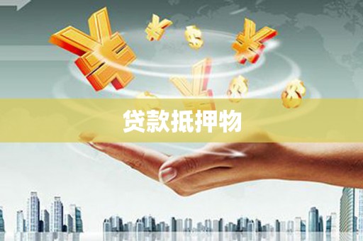 西吉贷款抵押物