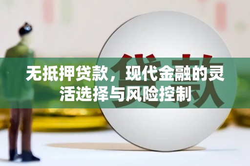 西吉无抵押贷款，现代金融的灵活选择与风险控制