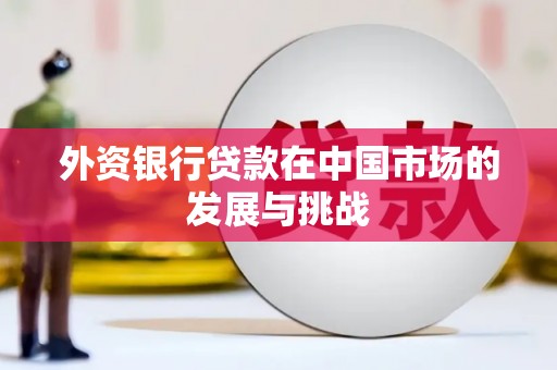 西吉外资银行贷款在中国市场的发展与挑战