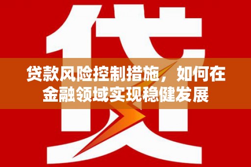 西吉贷款风险控制措施，如何在金融领域实现稳健发展