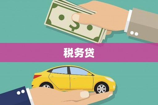 西吉税务贷