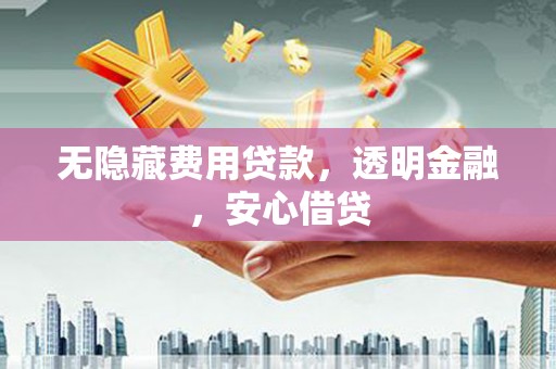 西吉无隐藏费用贷款，透明金融，安心借贷