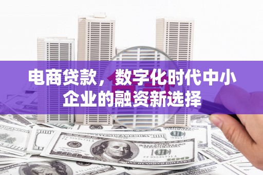 西吉电商贷款，数字化时代中小企业的融资新选择
