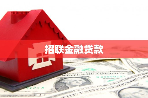 西吉招联金融贷款