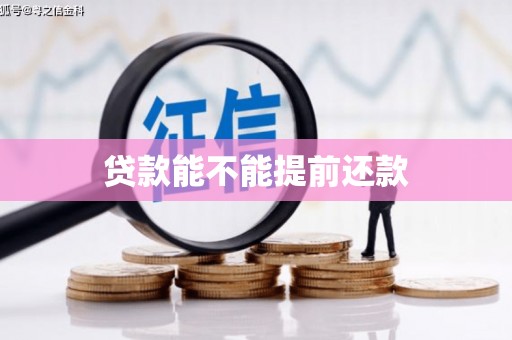 西吉贷款能不能提前还款