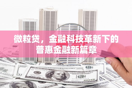 西吉微粒贷，金融科技革新下的普惠金融新篇章