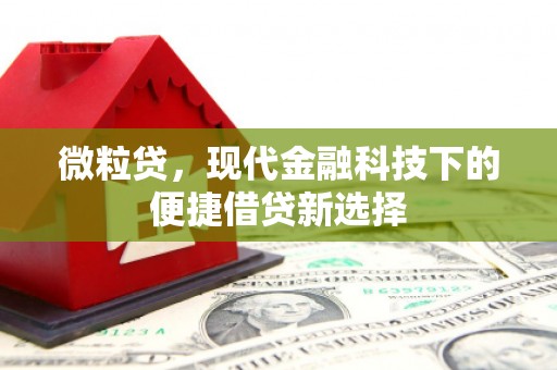 西吉微粒贷，现代金融科技下的便捷借贷新选择