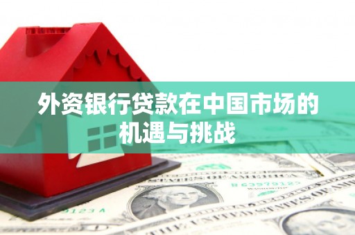 西吉外资银行贷款在中国市场的机遇与挑战