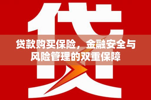 西吉贷款购买保险，金融安全与风险管理的双重保障