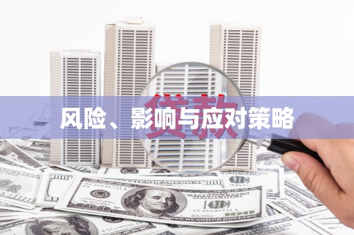 西吉风险、影响与应对策略