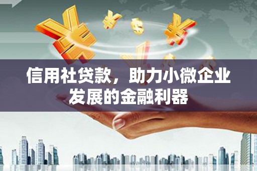 西吉信用社贷款，助力小微企业发展的金融利器