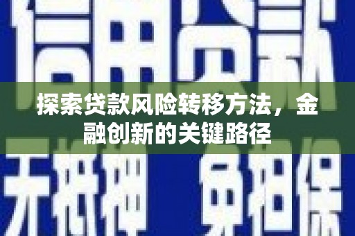 西吉探索贷款风险转移方法，金融创新的关键路径