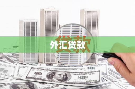 西吉外汇贷款