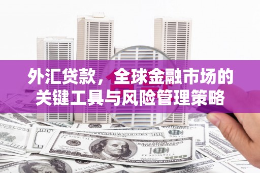 西吉外汇贷款，全球金融市场的关键工具与风险管理策略