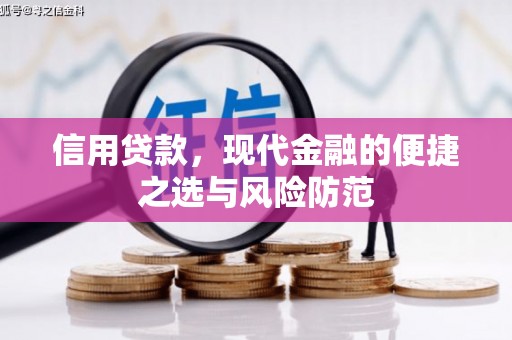 西吉信用贷款，现代金融的便捷之选与风险防范