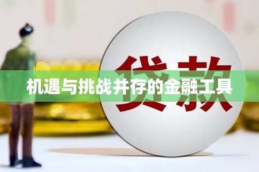 西吉机遇与挑战并存的金融工具
