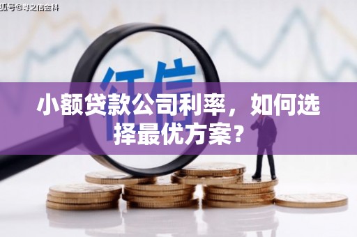 西吉小额贷款公司利率，如何选择最优方案？