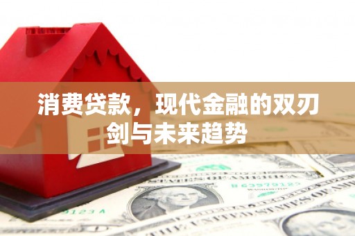 西吉消费贷款，现代金融的双刃剑与未来趋势