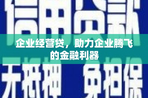 西吉企业经营贷，助力企业腾飞的金融利器