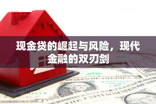 西吉现金贷的崛起与风险，现代金融的双刃剑