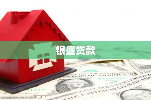 西吉银盛贷款