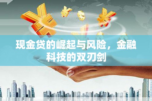 西吉现金贷的崛起与风险，金融科技的双刃剑