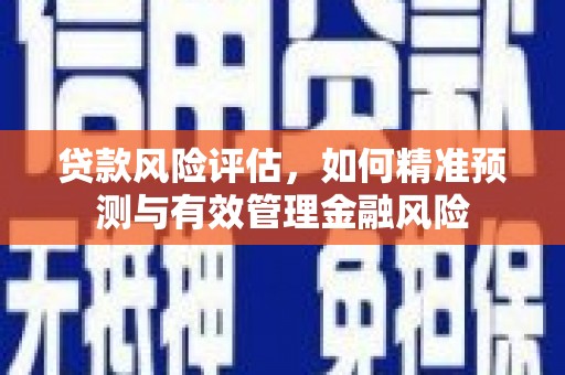 西吉贷款风险评估，如何精准预测与有效管理金融风险