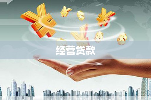 西吉经营贷款