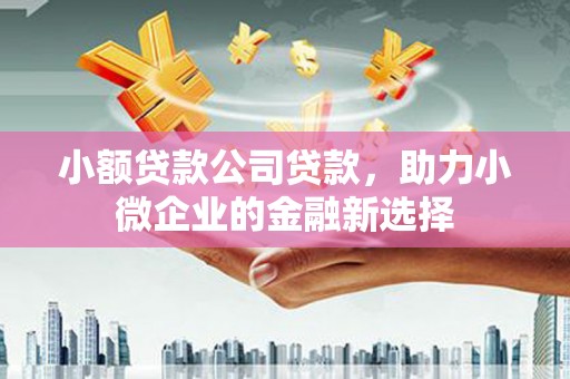 西吉小额贷款公司贷款，助力小微企业的金融新选择