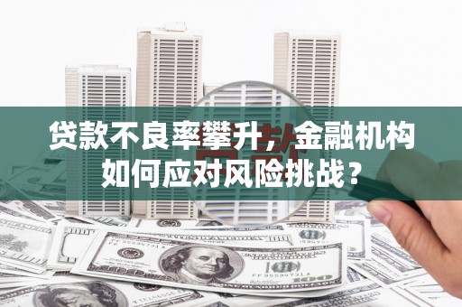 西吉贷款不良率攀升，金融机构如何应对风险挑战？