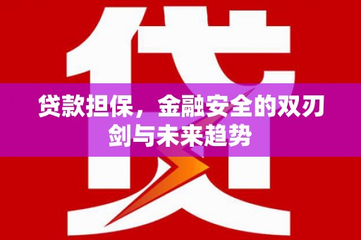 西吉贷款担保，金融安全的双刃剑与未来趋势