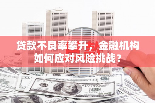 西吉贷款不良率攀升，金融机构如何应对风险挑战？