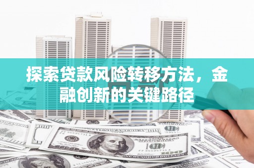 西吉探索贷款风险转移方法，金融创新的关键路径