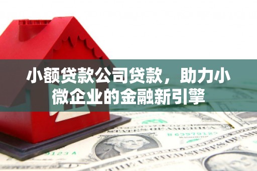 西吉小额贷款公司贷款，助力小微企业的金融新引擎