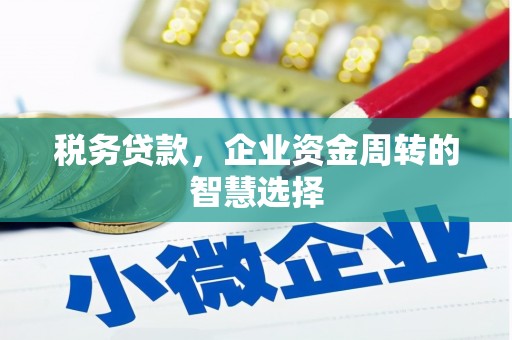 西吉税务贷款，企业资金周转的智慧选择