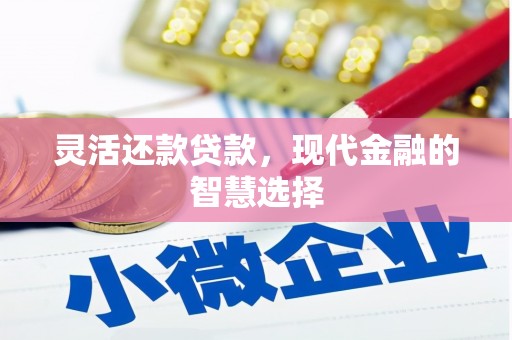 西吉灵活还款贷款，现代金融的智慧选择