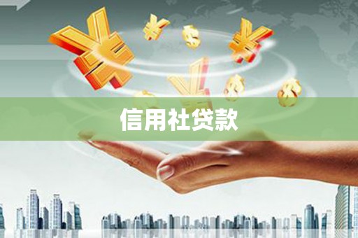 西吉信用社贷款