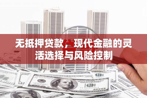 西吉无抵押贷款，现代金融的灵活选择与风险控制