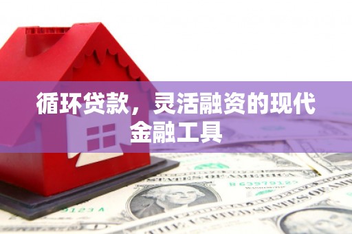 西吉循环贷款，灵活融资的现代金融工具