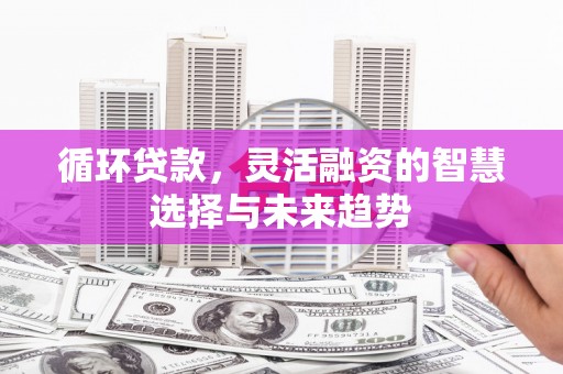西吉循环贷款，灵活融资的智慧选择与未来趋势