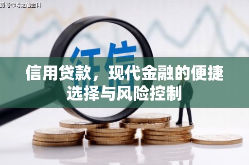 西吉信用贷款，现代金融的便捷选择与风险控制