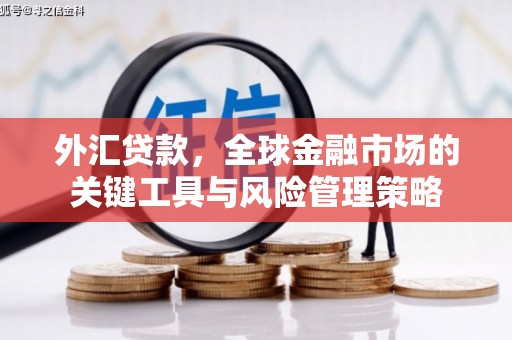 西吉外汇贷款，全球金融市场的关键工具与风险管理策略