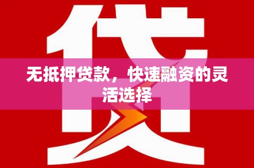 西吉无抵押贷款，快速融资的灵活选择