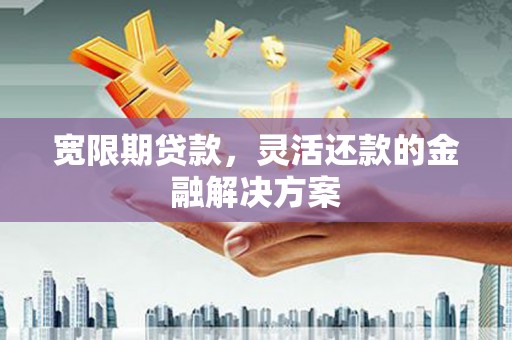 西吉宽限期贷款，灵活还款的金融解决方案