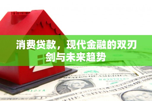 西吉消费贷款，现代金融的双刃剑与未来趋势