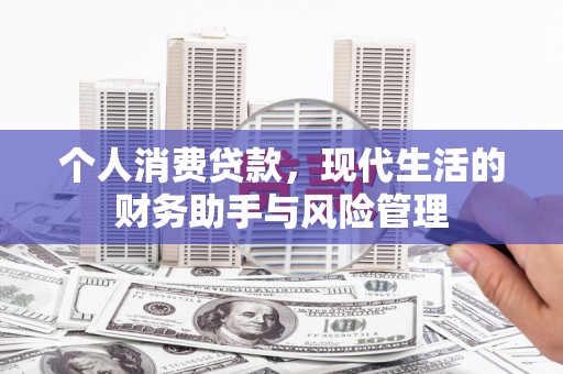 西吉个人消费贷款，现代生活的财务助手与风险管理
