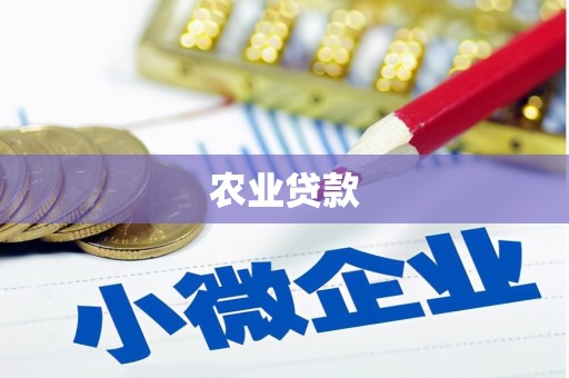 西吉农业贷款