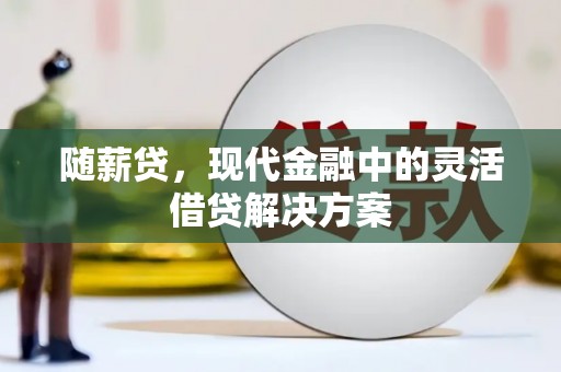 西吉随薪贷，现代金融中的灵活借贷解决方案