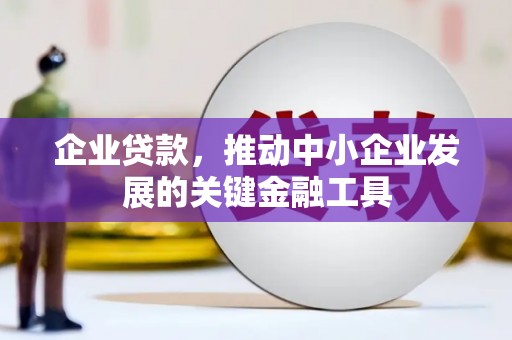 西吉企业贷款，推动中小企业发展的关键金融工具