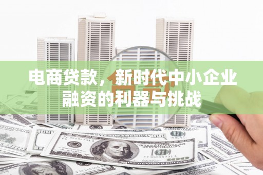 西吉电商贷款，新时代中小企业融资的利器与挑战